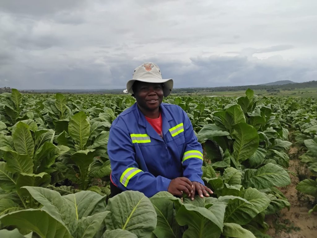 Bridging Gender Gaps for Women in Agribusiness Across Sub-Saharan Africa