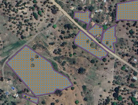 Agroforestry design