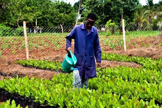 Irrigation