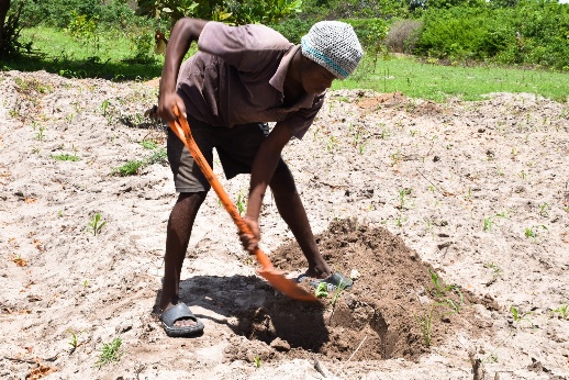 Land preparation